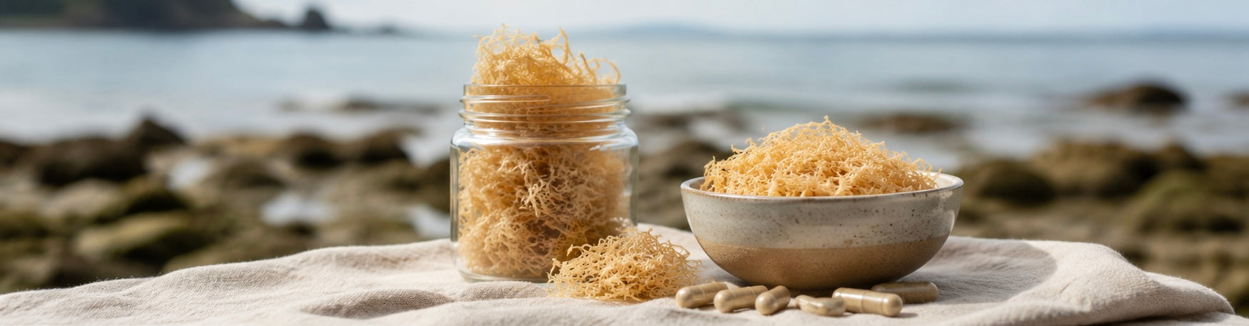 Sea Moss and Iodine: What You Actually Need to Know
