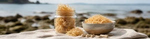 Sea Moss and Iodine: What You Actually Need to Know